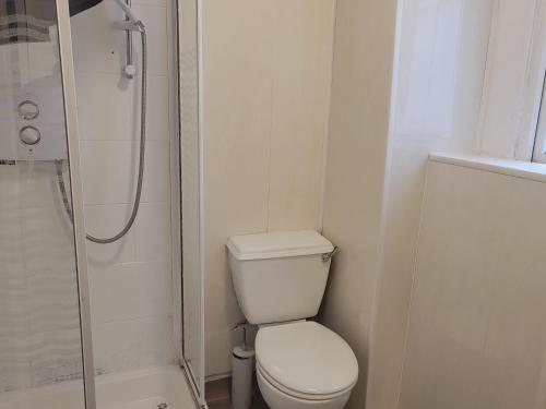 a white bathroom with a toilet and a shower at Cosy in Cork in Cork