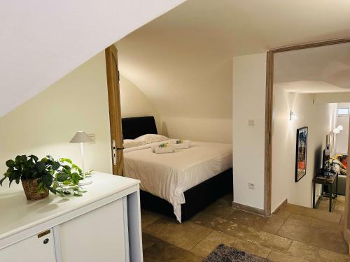 B005-Charmant appartement au coeur du Suquet