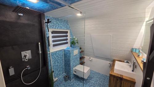 a bathroom with a shower and a toilet and a sink at Villa Aurora in Waldbrunn
