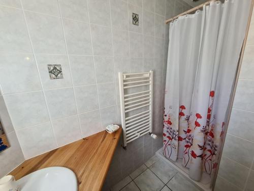 ムン・シュル・ロワールにあるChambre Japonisante, La Bonnerieのシャワーカーテンとトイレ付きのバスルーム