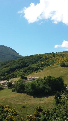 a house on a hill in a green field at La Casa del Sole in Belvedere Ostrense