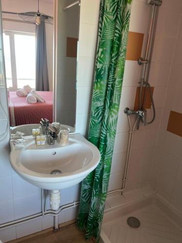 a bathroom with a sink and a shower at HOTEL RESTAURANT LA COTE REVEE in Leucate