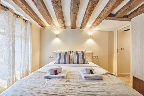 Amazing apartment in Center of Paris