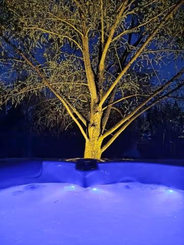 a tree in the snow in front of a blue light at Domaine des pins A la belle étoile 