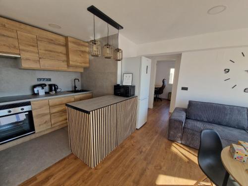 Renovated 3 Bedroom Apartment with Balcony Lift and AC