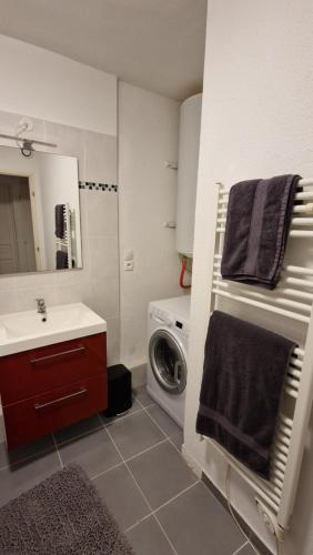 a bathroom with a sink and a washing machine at La vita è bella in Sélestat