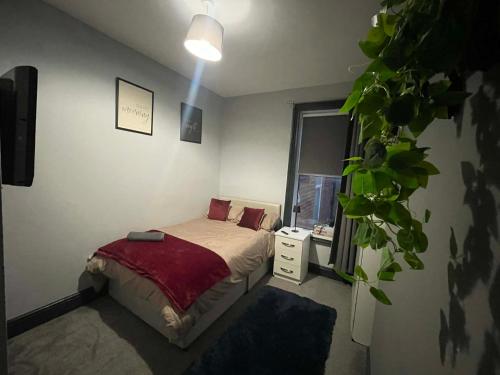 um quarto com uma cama e uma planta em vaso em Allon Manor De'Grey em Hull