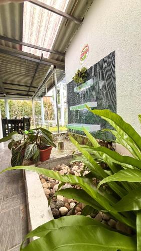 a patio with a bunch of potted plants at Hotel Sleep Well in Filandia