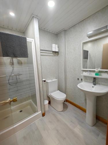 a bathroom with a toilet and a sink and a shower at The Jays Guest House in Aberdeen