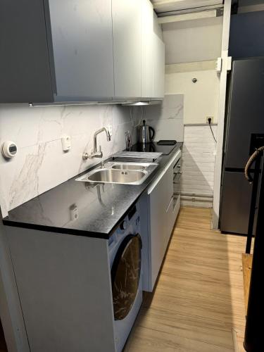 a kitchen with a sink and a washing machine at 3 bedrooms Family House till 6 p Near Amsterdam & Sea in Opmeer