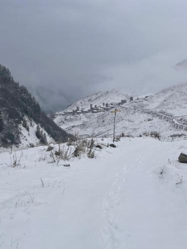 Afbeelding uit fotogalerij van Guest house River side in Adishi