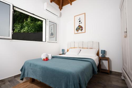 a bedroom with a bed with a blue blanket and a window at La Kaz Zen - Cozy house with garden in Les Abymes