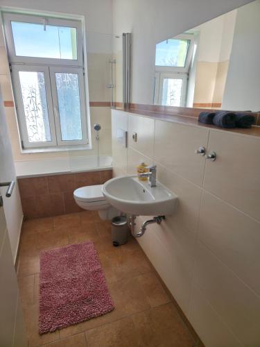 a bathroom with a sink and a toilet and windows at Ruhiges Apartment Leipziger Neuseenland, direkte S-Bahn Anbindung Leipzig sowie Messe in Neukieritzsch