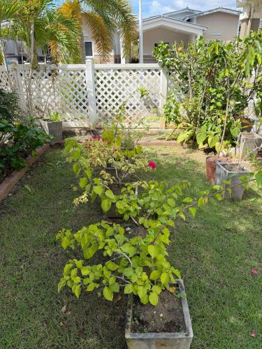 Afbeelding uit fotogalerij van VillaMarina in ArraijÃ¡n