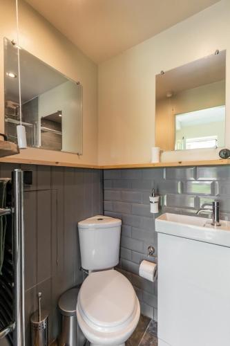 a bathroom with a toilet and a sink and a mirror at Alderfen View by Leap Escapes in Worstead