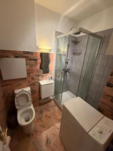 un bagno con wc e doccia di Trocadero a Parigi