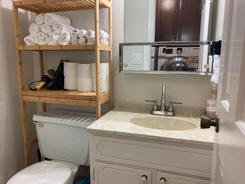 a bathroom with a toilet and a sink and a mirror at Charming Lafayette Condo Cozy Retreat in Indiana in Lafayette