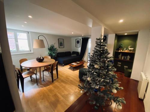 Appartement au coeur du centre historique de Strasbourg