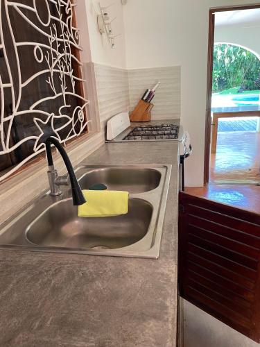 un lavandino della cucina con una spugna gialla sopra di Villa Louana a Las Terrenas