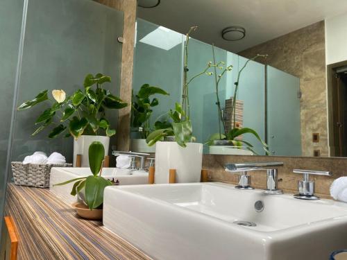 Afbeelding uit fotogalerij van Hotel Matea San Isidro in Tonatico