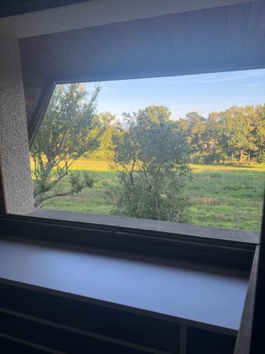 ein Fenster mit Blick auf ein Feld in der Unterkunft Studio indépendant in Divonne-les-Bains