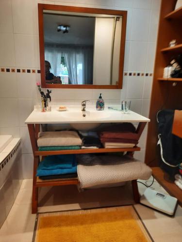 a bathroom with a sink and a mirror and towels at Voie bleue Bords du Rhône in Guilherand