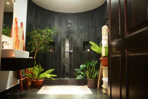 Billede fra billedgalleriet på Villa Olimpia i Villaverde