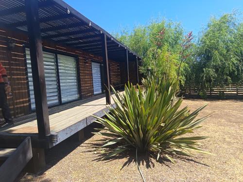 Vườn quanh Cabañas con tinajas Litueche