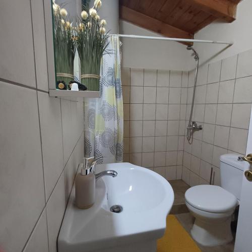 a bathroom with a sink and a toilet at Vrachni Stone House in Kalavrita