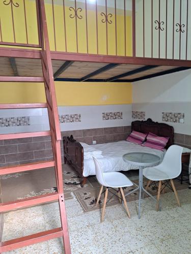 Billede fra billedgalleriet på Studio blida i Dilida