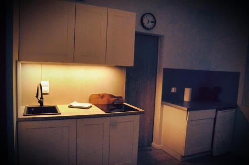 Η κουζίνα ή μικρή κουζίνα στο Apartament Flora