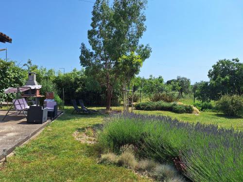 ULIKA l Private Olive Grov, Pets & Jacuzzi for Two