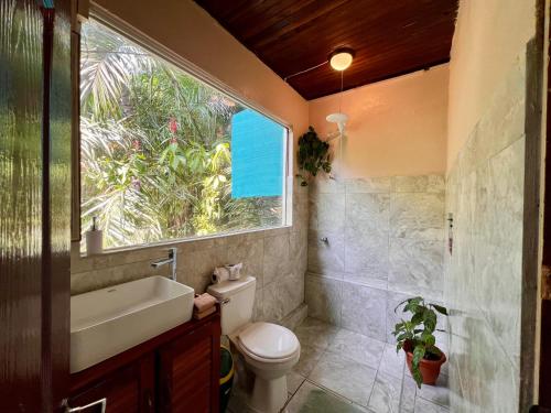 Ένα μπάνιο στο Iwa Zaru Seaview Studios Free Breakfast & Park Tour