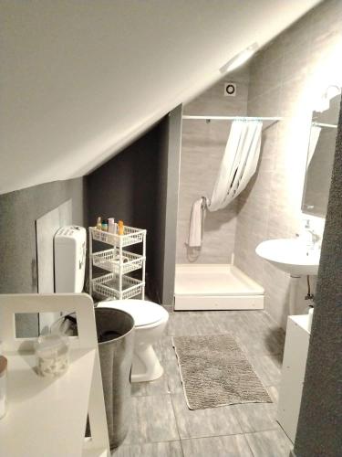 a bathroom with a toilet and a sink at Sobe "Mira",Lipovac -Bajakovo in Lipovac