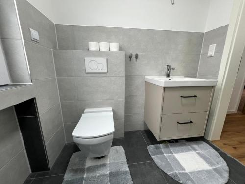 a bathroom with a toilet and a sink at Monteurswohnung Mesum in Rheine