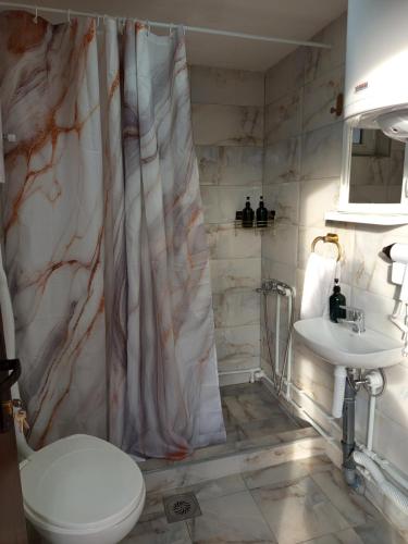 Phòng tắm tại Deda Bocin konak