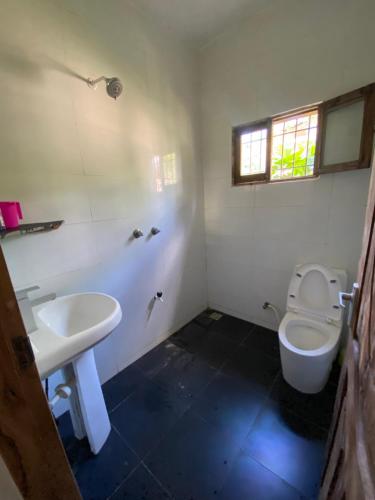 Double Room at Villa Soleil في شاطئ دياني: حمام مع حوض ومرحاض