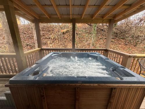 Foto de la galería de Serenity Views Comfort - Close to City & Parkway! en Weaverville