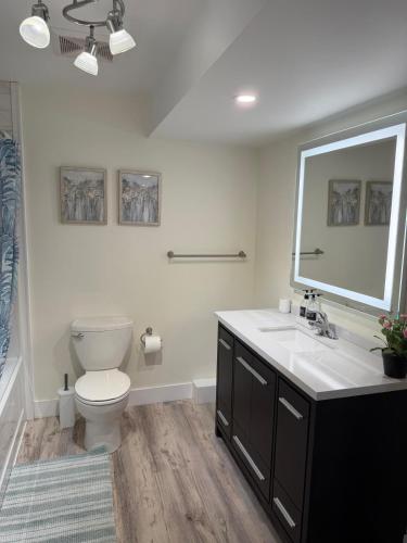 a bathroom with a toilet and a sink and a mirror at Cozy Home Away from Home in Kingston