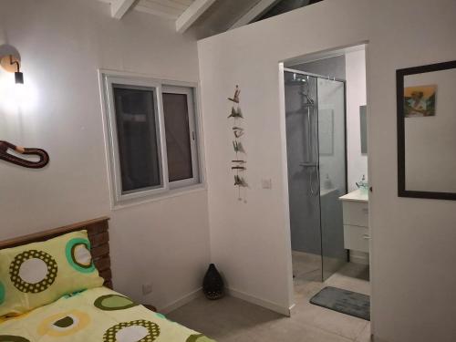 Maison cosy à Sainte-Anne - 31 m² avec terrasse في Douville: حمام مع دش وسرير في الغرفة