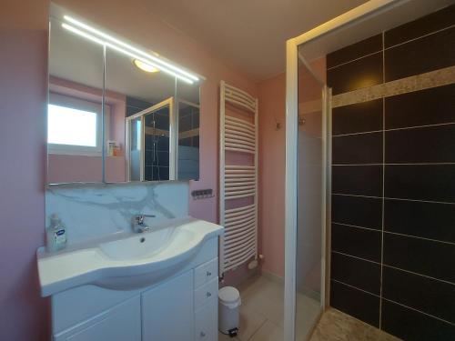 Ένα μπάνιο στο Gîte chaleureux avec jardin arboré, terrasse, salle de jeux et parking privé à Pré-Saint-Évroult. - FR-1-581-3