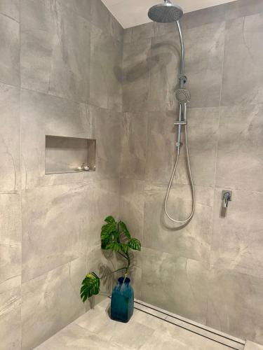 a bathroom with a shower with a plant in it at Byron Bay Hinterland Sanctuary in Federal