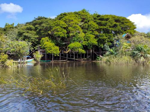 a body of water with trees in the background at Pousada Alter in Santarém
