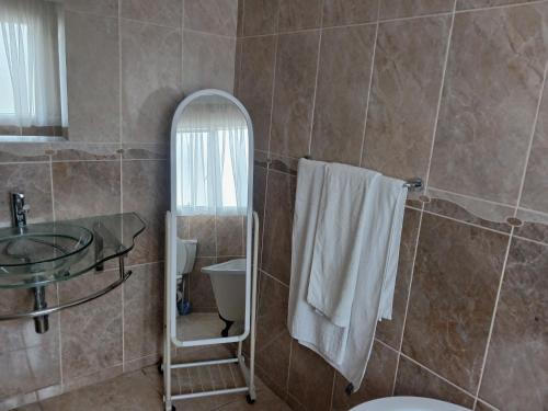 a bathroom with a sink and a toilet and a mirror at Moshitametsi Guesthouse in Kempton Park
