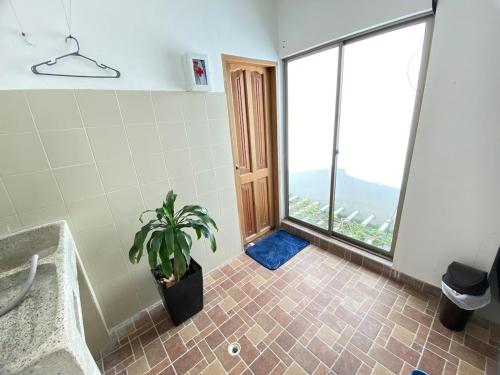 a bathroom with a potted plant and a large window at Apartamento la Isla 2-Coveñas in Coveñas