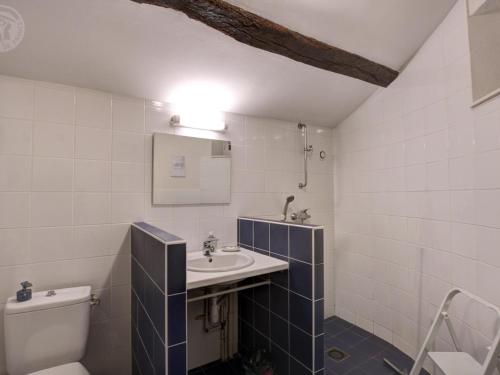 Ένα μπάνιο στο Gîte Authentique avec Wifi et Cheminée à Véranne - FR-1-496-256