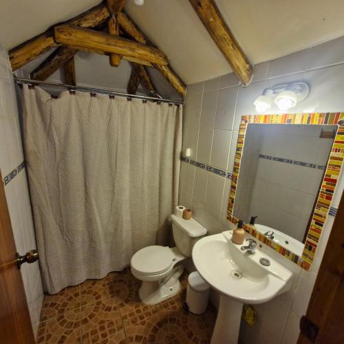 a bathroom with a toilet and a sink and a mirror at Refugio de montaña OM in Santiago