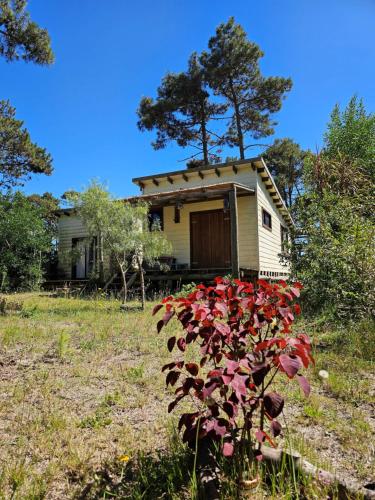 Το κτήριο όπου στεγάζεται  το καταφύγιο
