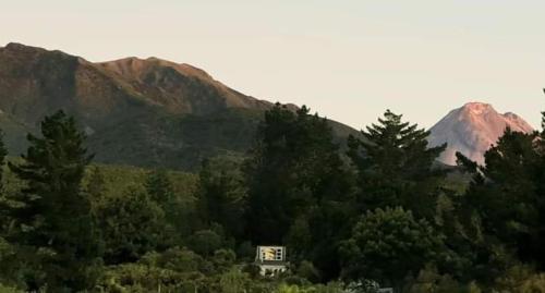 Billede fra billedgalleriet på Katikara Eco-Community - Rosewood accommodations i New Plymouth