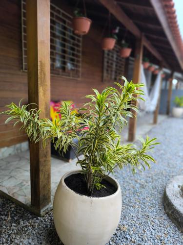 Cantinho do Sonho - Chalé Areia في باليوسا: نبات في وعاء أبيض يجلس على الأرض
